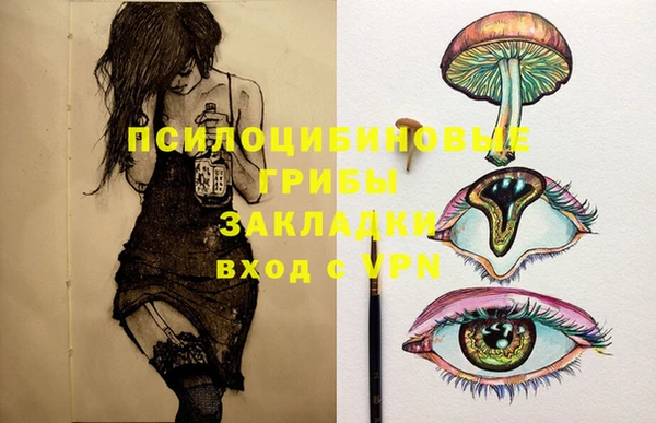 гидропоника Арсеньев