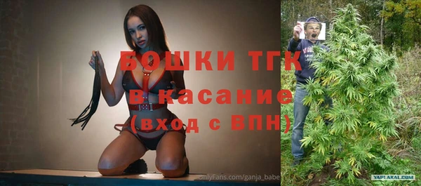 гашик Аркадак